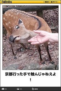 おもしろ 鹿の画像7点 完全無料画像検索のプリ画像 Bygmo