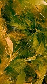 羽根 シリーズ 黄色 黄の画像(羽根に関連した画像)