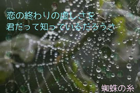 Mr.Children 蜘蛛の糸の画像(プリ画像)