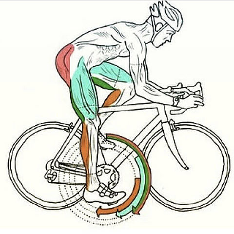 自転車競技の画像 プリ画像
