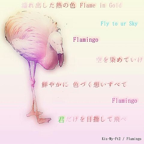 ☆ Flamingoの画像(プリ画像)