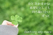 don't cry anymore♬miwaの画像(カップル/非リア充/幸せに関連した画像)