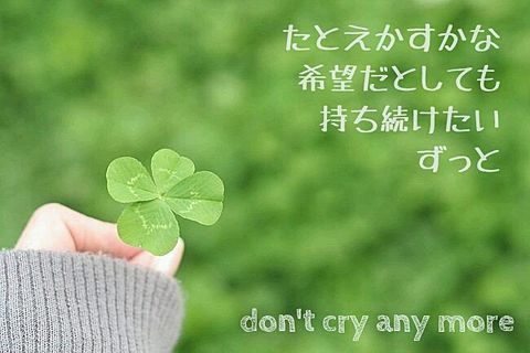 don't cry anymore♬miwaの画像 プリ画像