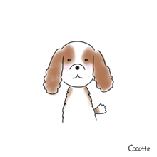 かわいい キャバリア 犬の画像7点 完全無料画像検索のプリ画像 Bygmo