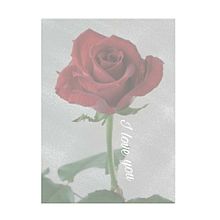 花言葉 薔薇の画像164点 完全無料画像検索のプリ画像 Bygmo