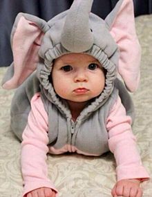 50 素晴らしい着ぐるみ 赤ちゃん 可愛い 外国 最高の動物画像