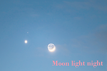 Moon light night☽･:*の画像(永瀬廉 小説に関連した画像)