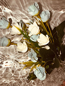オシャレ 造花の画像7点 完全無料画像検索のプリ画像 Bygmo
