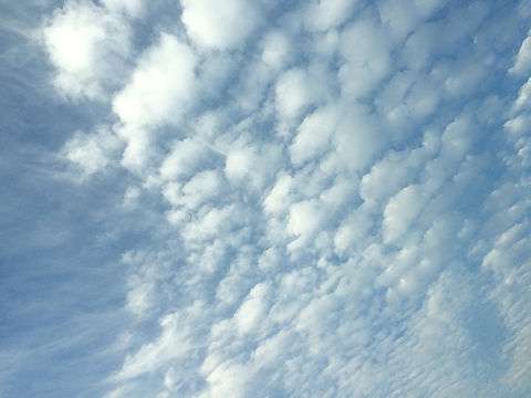 もくもく雲☁　の画像(プリ画像)