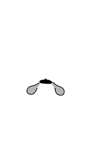 浦島坂田船 キンブレ素材 耳の画像(坂田に関連した画像)