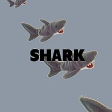 サメの画像(おしゃれ 壁紙 シンプルに関連した画像)