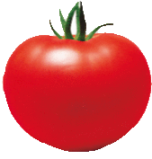 プチトマトの画像34点 完全無料画像検索のプリ画像 Bygmo