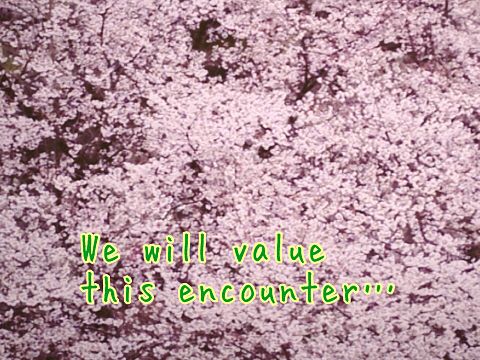 we will value this encounter…の画像 プリ画像