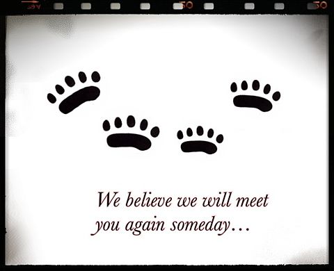 We believe we will meet you …の画像(プリ画像)