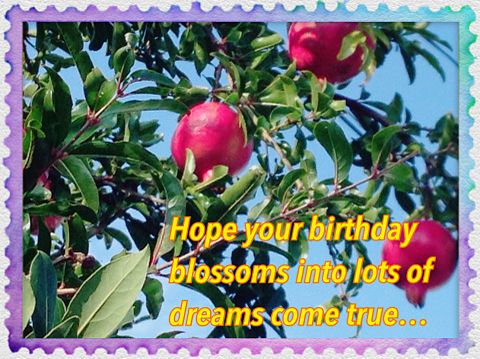 Hope your birthday blossoms …の画像(プリ画像)