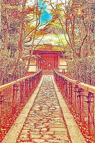 風景の画像(京都に関連した画像)