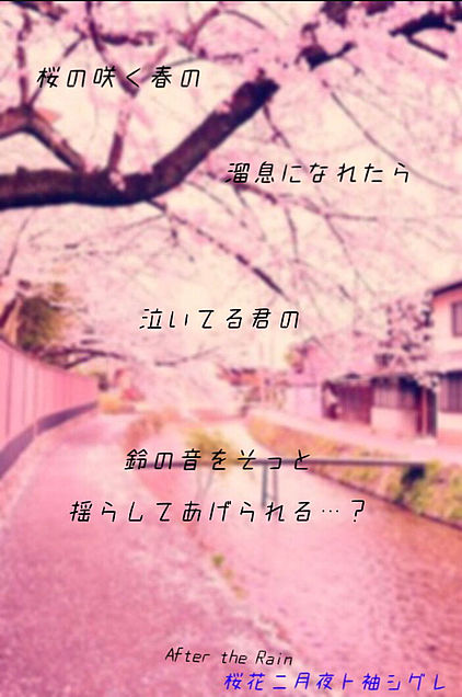 桜花ニ月夜ト袖シグレの画像(プリ画像)