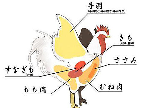 鶏の部位の画像(プリ画像)