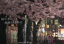 GReeeeN/桜colorの画像(歌詞画/手書きに関連した画像)
