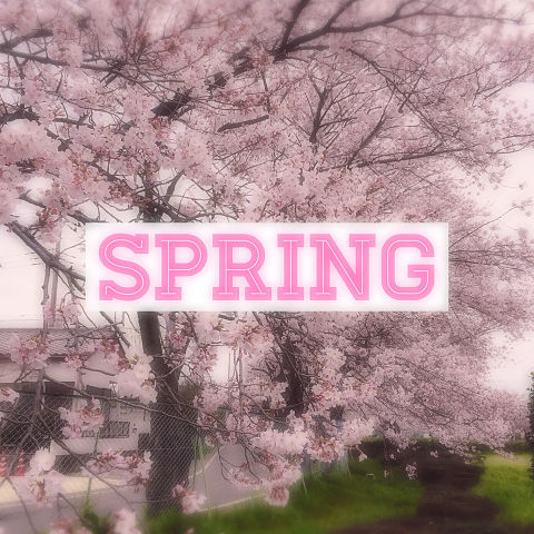 springの画像 プリ画像