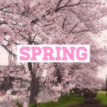 springの画像(Springに関連した画像)
