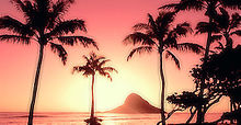 Hawaiianの画像(ハワイアンに関連した画像)