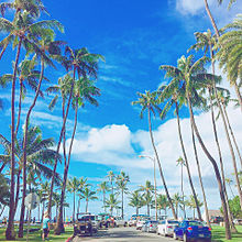 Hawaiianの画像(ハワイアンに関連した画像)