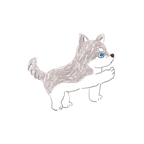 印刷 ハスキー犬 イラスト 透明なイラスト画像を無料ダウンロード