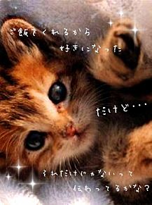 猫の気持ち♡の画像(花とゆめに関連した画像)