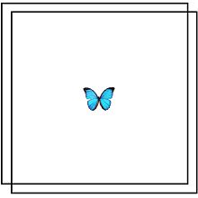 青 蝶の画像543点 完全無料画像検索のプリ画像 Bygmo