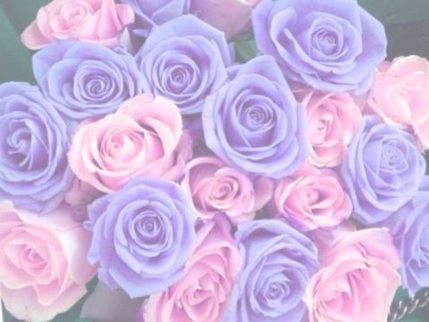 紫ピンク 花 完全無料画像検索のプリ画像 Bygmo