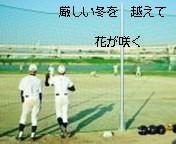 野球ポエムの画像(高校野球 ﾎﾟｴﾑに関連した画像)