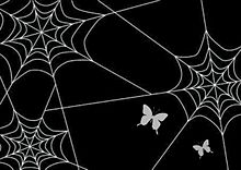 かわいい 蜘蛛の巣の画像6点 完全無料画像検索のプリ画像 Bygmo
