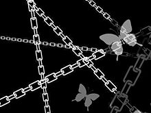 蜘蛛の巣 蝶の画像8点 完全無料画像検索のプリ画像 Bygmo