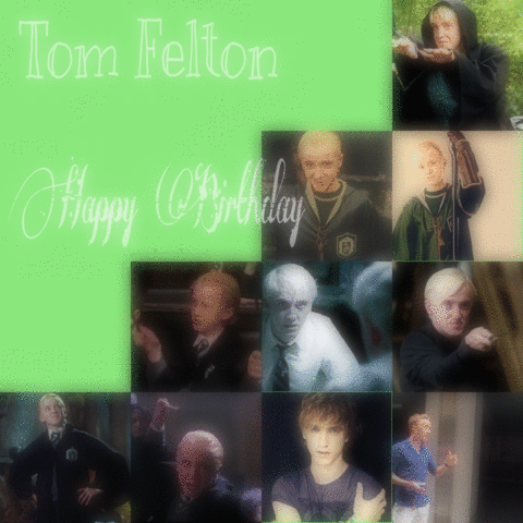 Tom Felton's birthdayの画像(プリ画像)