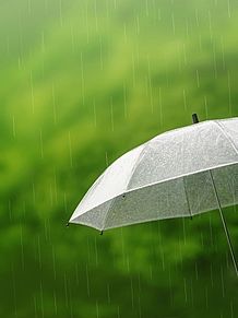 素材 雨と傘の画像1点 完全無料画像検索のプリ画像 Bygmo