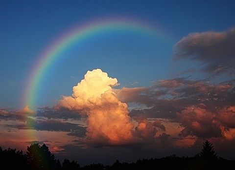 朝の虹の画像(プリ画像)