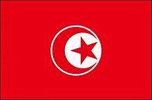 チュニジア　国旗の画像(チュニジアに関連した画像)