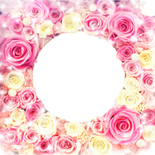 背景透明 薔薇の画像49点 完全無料画像検索のプリ画像 Bygmo