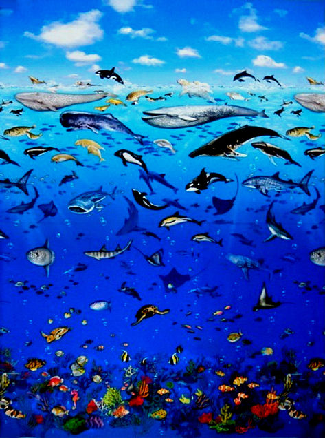 背景 壁紙 素材 海 海洋生物の画像(プリ画像)