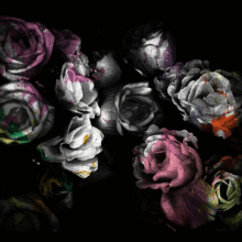 モノクロ 薔薇の画像118点 完全無料画像検索のプリ画像 Bygmo