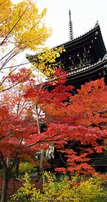 京都の秋 プリ画像