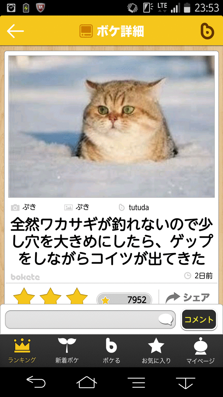 猫でボケて 完全無料画像検索のプリ画像 Bygmo