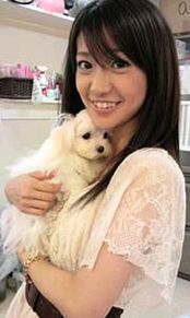 AKB48 大島優子 卒業の画像(akb48大島優子に関連した画像)