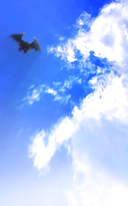 Blue skyの画像(メタナイト（カービィ）に関連した画像)