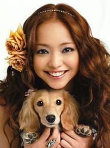 安室奈美恵 可愛い フォロー 犬の画像1点 完全無料画像検索のプリ画像 Bygmo