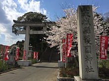 茨城県 護国神社 桜 水戸市の画像(水戸市に関連した画像)