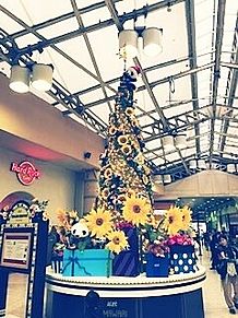 上野駅　クリスマスツリー　パンダ　ヒマワリの画像(上野に関連した画像)
