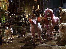 Babe Pig in the Cityの画像(pigに関連した画像)