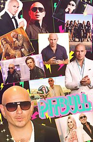 莉奈さんのリク Pitbullの画像(pitbullに関連した画像)